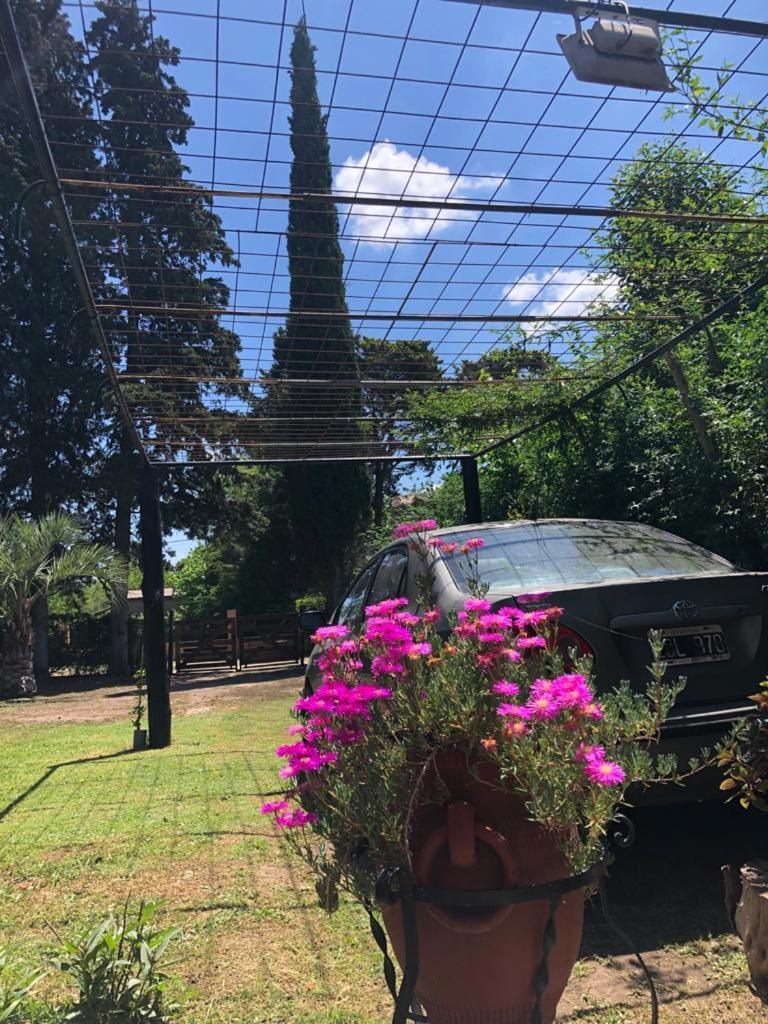 Ezeiza Quinta Cedro Azul 10 Min Del Aeropuerto Villa Kültér fotó